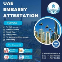 A Guide to UAE Document Attestation Services