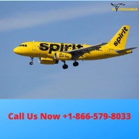 Spirit Airlines Flights Booking 8665798033